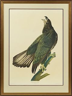John James Audubon (1785-1851), "White-headed eagl