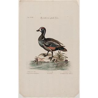 Avian Prints, Lot of Two