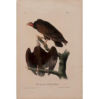 Audubon The Birds of America Royal Octavo Edition Lithographs, Lot of Six