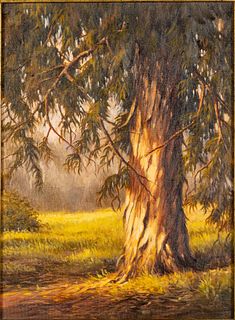 Ralph Waterhouse (b. 1943), Sequoia Tree, O/C