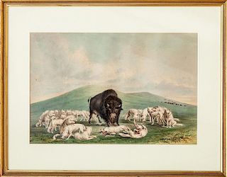 GEORGE CATLIN (1796-1872): WHITE WOLVES ATTACKING A BUFFALO, FROM NORTH AMERICAN INDIAN PORTFOLIO