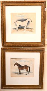 Pair of Mammoo Watercolors of Polo Horses or Ponies Portraits