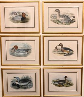 Set of Six Duck Prints