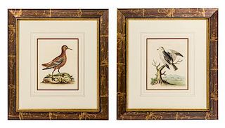 * Two Ornithological Prints 9 3/4 x 7 3/4 inches (visible).