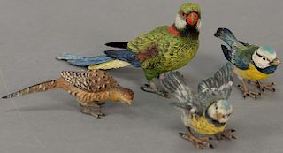 Four bronze painted birds including two small cold painted Bergman bluebirds, a green parrot, and a small pheasant. 
heights 