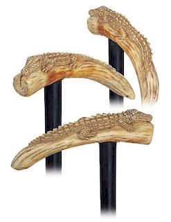 61. Warthog Tusk Figural Cane -Ca. 1900 -Large wild boar tooth carved with an alligator, faux sprig ebony shaft and a metal f