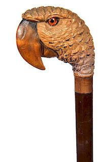 142. Carved Parrot Cane- Ca. 1920- A realistic, carved parrot head with two color glass eyes, horn collar, hardwood shaft and
