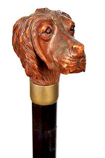 144. Carved Labrador Cane- Ca. 1925-  A large carved dog with two color glass eyes, silver metal collar, thick ebony shaft an