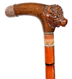 146. Buffalo Suitcase Cane- Ca. 1900- A carved burl handle which is a buffalo  head with two color glass eyes and a silver en
