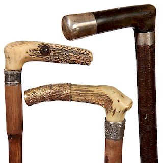 156. Three Piece Cane Lot- 1880-1910- One stag with a gold-filled endcap and an ornate silver collar, an American buffalo hor