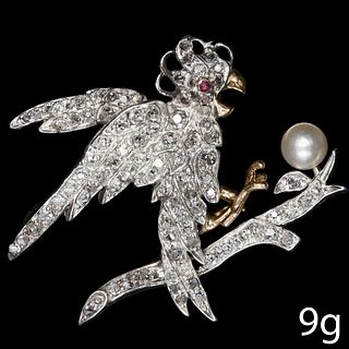 ATTRACTIVE DIAMOND AND PEARL PARROT BROOCH