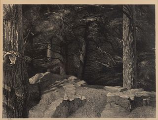 STOW WENGENROTH (AMERICAN, 1906-1978) "MAINE FOREST" PRINT