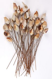 VINTAGE SEASHELLS MOUNTED ON COPPER STEMS, LOT OF 45 + / -
