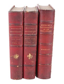 Two Volumes of "Nuttall's Ornithology" 