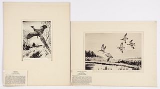 2 Churchill Ettinger AAA etchings Pitching Mallards and Pheasant
