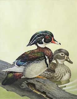 Axel Amuchastegui Watercolor of Ducks