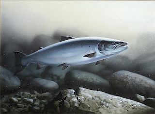 Rodger McPhail Watercolor of Salmon