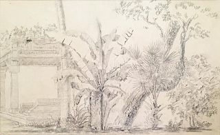 Company School, Sketch of Palms