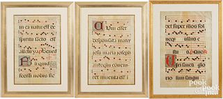 Three large vellum manuscript pages, 18th c.