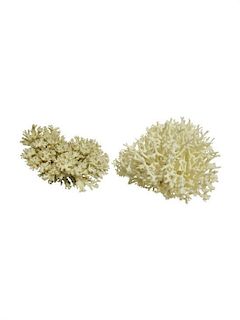 * A Collection of Coral Specimens Height of largest 7 3/4 x width 18 x depth 11 1/2 inches.