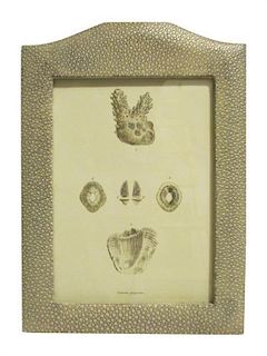 * A Nautical Print Height 9 1/4 x width 6 1/2 inches (frame).