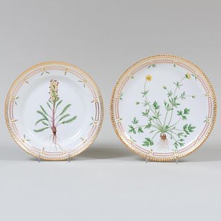 Royal Copenhagen Porcelain Flora Danica Plate and a Stand
