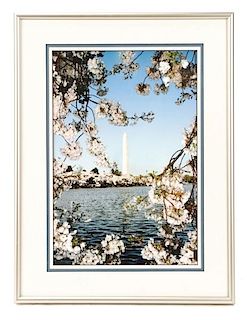 Sachs, "Washington Monument in Spring", Print