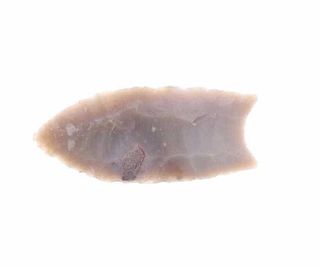 2 5/8" Folsom Bi-Furcated NM Projectile Point