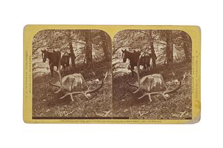 Ca. 1882 L.A. Huffman Oversized Stereoview