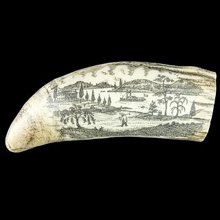 Antique Etched Scrimshaw Whale's Tooth