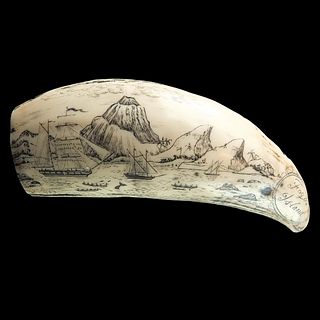 Antique Etched Scrimshaw Whale's Tooth