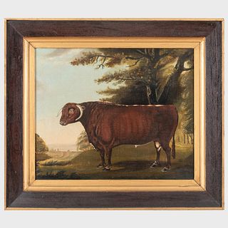 J. Fisher: Portrait of a Bull