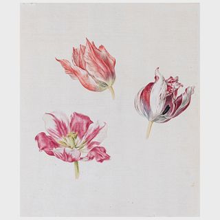 Jan Van Os (1759–1840): Tulips: A Pair
