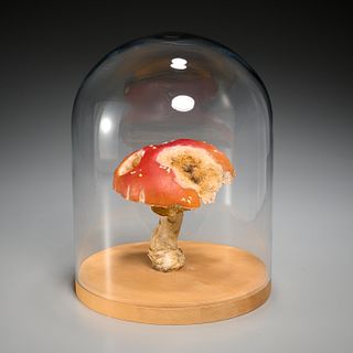 Roxy Paine, mushroom sculpture, 2003