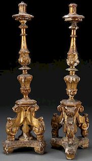 A PAIR OF CARVED GILT WOOD BAROQUE CANDLE STANDS