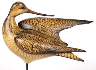 VERY FINE WILLIAM GIBIAN (ONANCOCK, VIRGINIA) LARGE CARVED AND PAINTED PREENING MARBLED GODWIT