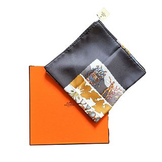Hermes Rives Fertiles by Christine Henry Limited Edition Silk Scarf