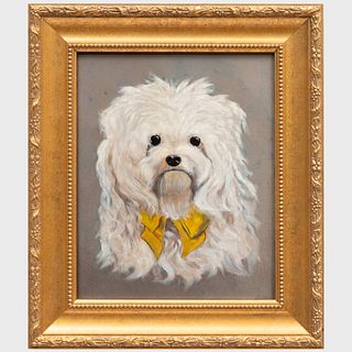 20th Century School: Portrait of a Dog with a Yellow Ribbon
