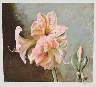 Henrietta Wyeth Color Lithograph, Pink Amaryllis