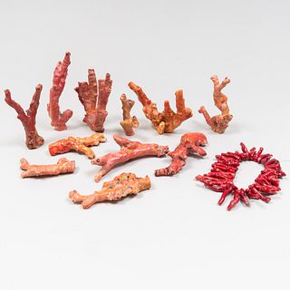Collection of Coral Sprigs 
