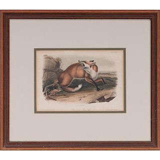 Audubon Hand-Colored Lithographs, Grey Fox and American Red Fox, Bowen Octavo Edition
