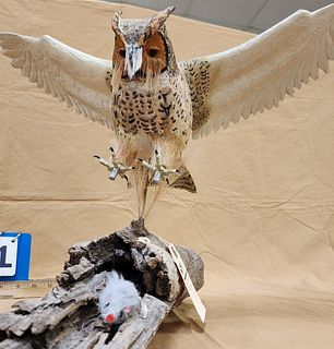 Ken Pangburn Wooden Sculpture Of A Great Horned Owl 20 1/2"H X 21"W X 13"D