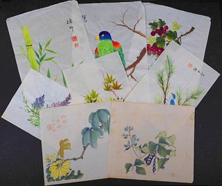 Set of Eight Birds and Botanicals Studies
