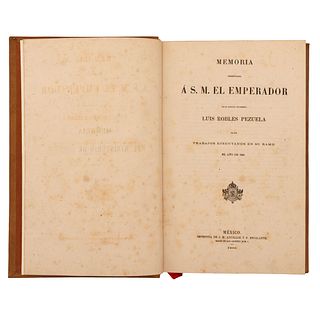Robles Pezuela, Luis. Memoria Presentada a S. M. el Emperador de los Trabajos Ejecutados. México, 1866. 10 láminas, 2 croquis y un mapa