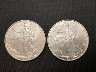 Group of Two 2006 American Eagle 0.999 Silver Coins 