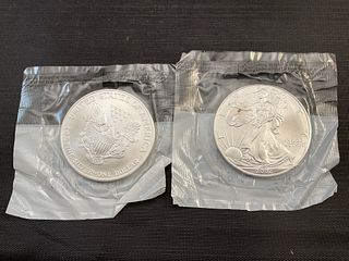 2001 and 2002 American Eagle 0.999 Silver Coins