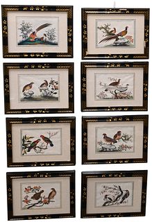 Group of Eight Chinese Qing Dynasty Watercolors