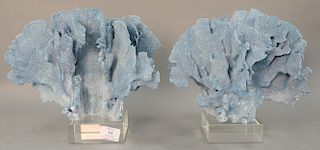 Pair of Blue Ridge natural sea coral specimen on Lucite bases. ht. 10in., wd. 12in.