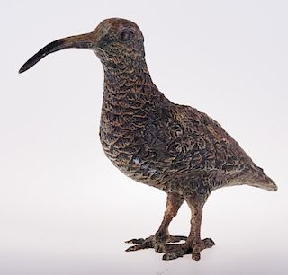 Polychrome Vienna Bronze Kiwi Bird Statue
