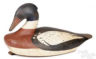 New England Merganser duck decoy